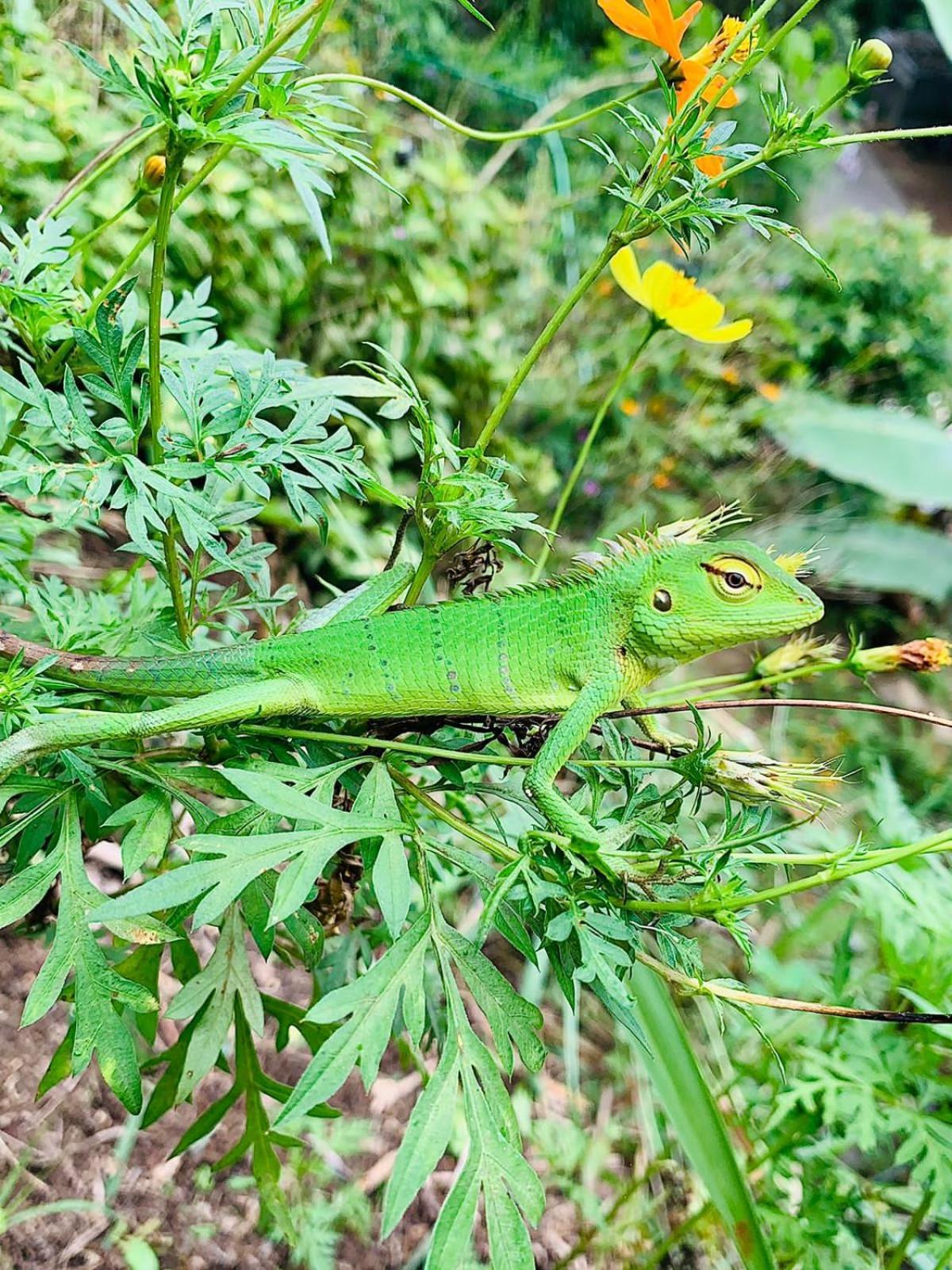Séjour chez l'habitant Bella *