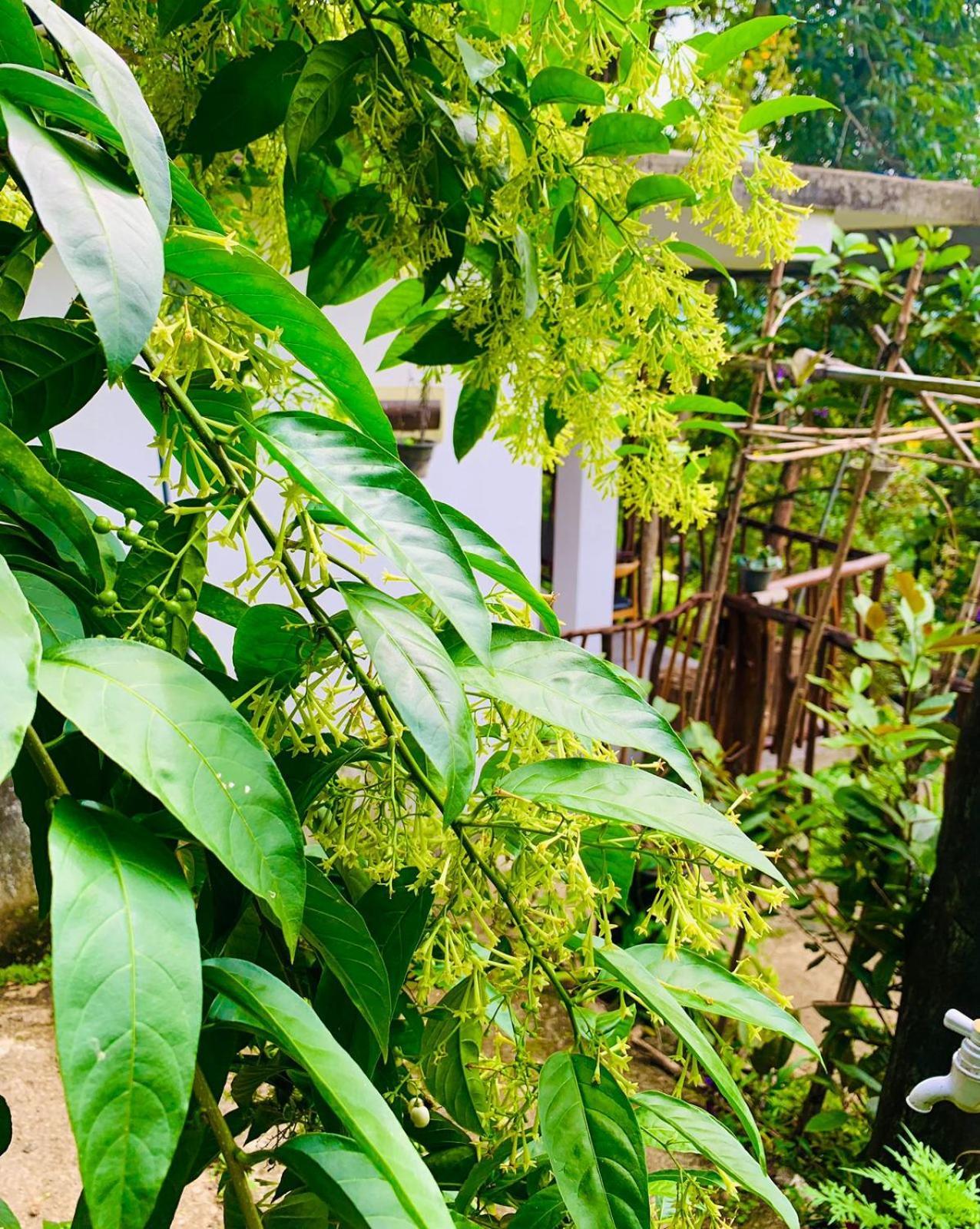 Bella Séjour chez l'habitant Ella